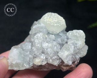 Apophyllite Cluster #11