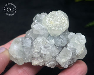 Apophyllite Cluster #11