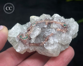 Apophyllite Cluster #11