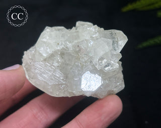 Apophyllite Cluster #12