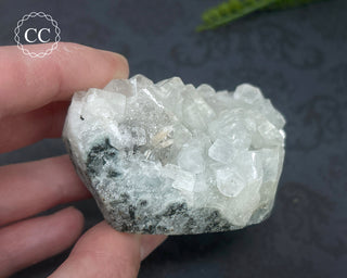 Apophyllite Cluster #1