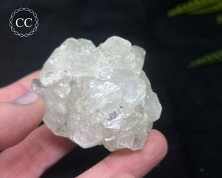 Apophyllite Cluster #12