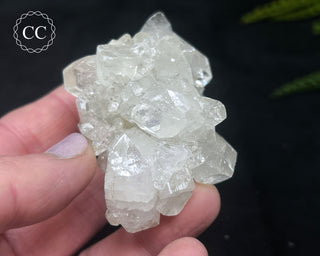 Apophyllite Cluster #12