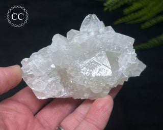 Apophyllite Cluster #2