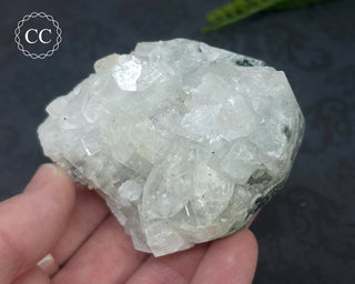 Apophyllite Cluster #1