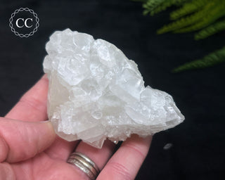 Apophyllite Cluster #2