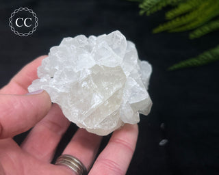 Apophyllite Cluster #2