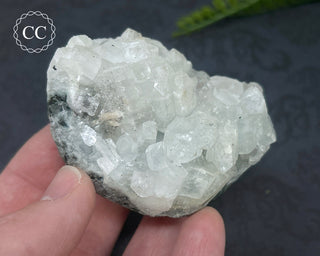 Apophyllite Cluster #1