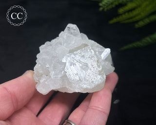 Apophyllite Cluster #2
