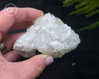 Apophyllite Cluster #2