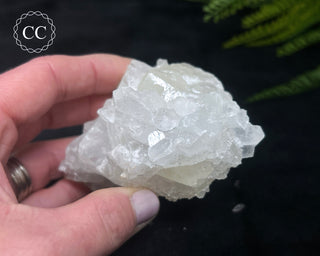 Apophyllite Cluster #2