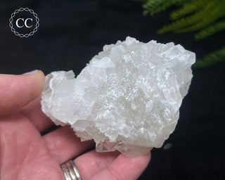 Apophyllite Cluster #2
