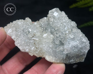 Apophyllite Cluster #4