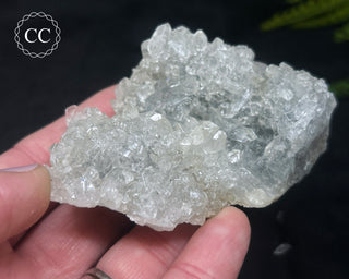 Apophyllite Cluster #4