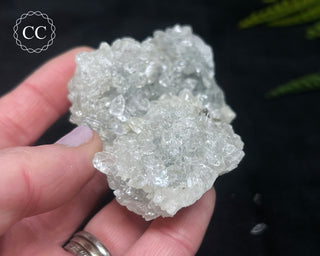Apophyllite Cluster #4