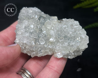 Apophyllite Cluster #4