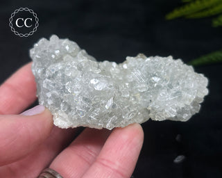 Apophyllite Cluster #4