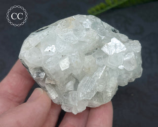 Apophyllite Cluster #1