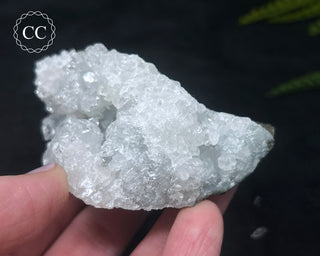 Apophyllite Cluster #7