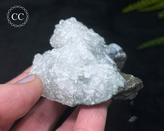 Apophyllite Cluster #7