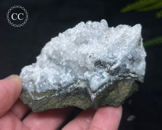 Apophyllite Cluster #7