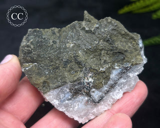 Apophyllite Cluster #7
