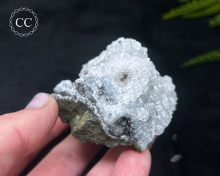 Apophyllite Cluster #7