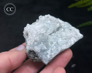 Apophyllite Cluster #7