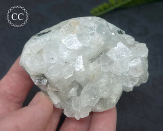 Apophyllite Cluster #1