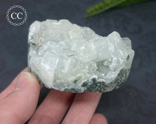 Apophyllite Cluster #1