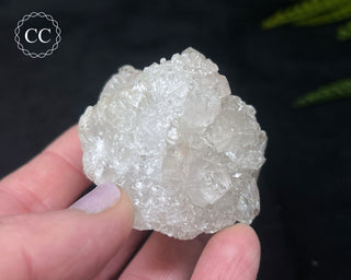 Apophyllite Cluster #10