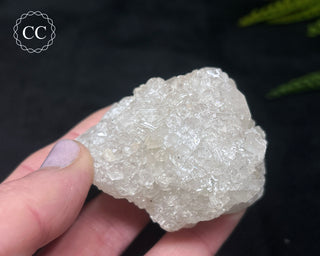 Apophyllite Cluster #10