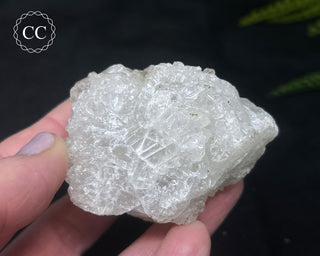 Apophyllite Cluster #10