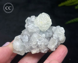 Apophyllite Cluster #11