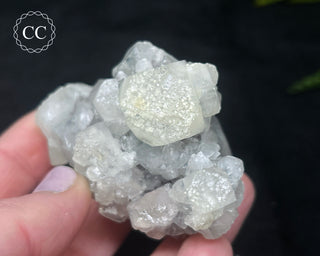 Apophyllite Cluster #11