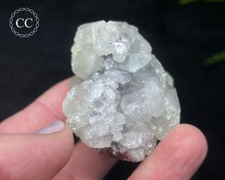 Apophyllite Cluster #11