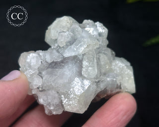 Apophyllite Cluster #11