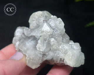 Apophyllite Cluster #11
