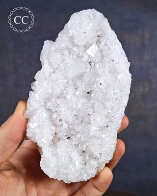 sparkling Indian Apophyllite cluster showing white crystals.