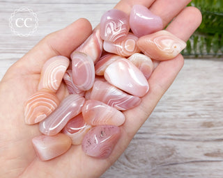 Apricot Agate Tumbled Crystals in hand