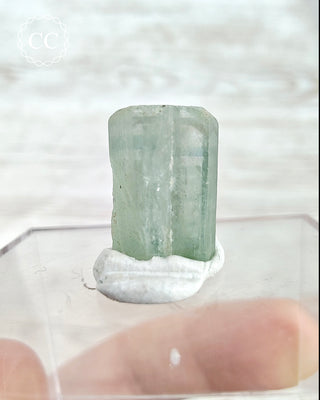 Aquamarine Zoned Crystal #2
