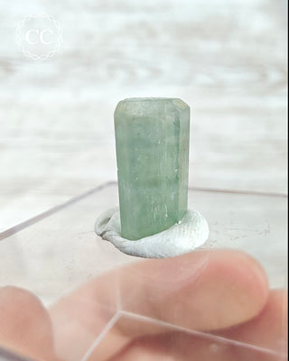 Aquamarine Zoned Crystal #2