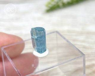 Aquamarine Crystal #2