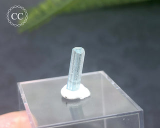 Aquamarine Crystal #11