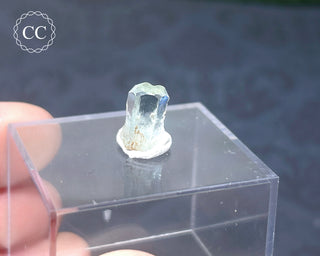 Aquamarine Crystal - Erongo, Namibia #6