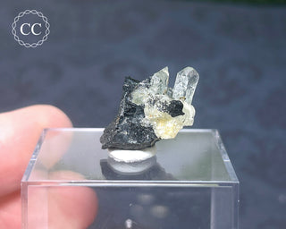 Aquamarine & Black Tourmaline - Namibia #2