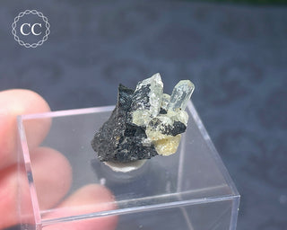 Aquamarine & Black Tourmaline - Namibia #2