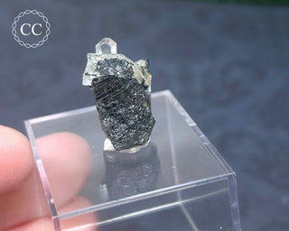 Aquamarine & Black Tourmaline - Namibia #2