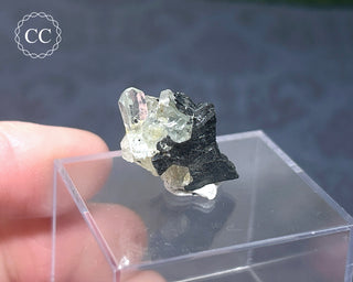 Aquamarine & Black Tourmaline - Namibia #2
