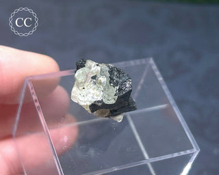 Aquamarine & Black Tourmaline - Namibia #2